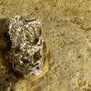 Nature Long Ring 10162 - Image 5