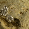 Flower Bud Ring 10117 - Image 3