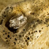Band Ring 10160 - Image 4