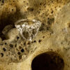 Nature Band Ring 10154 - Image 3