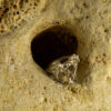 Nature Band Ring 10154 - Image 4