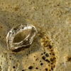 Nature Band Ring 10157