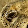 Nature Band Ring 10157 - Image 4