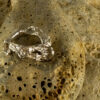 Nature Band Ring 10148 - Image 4