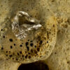 Nature Band Ring 10148