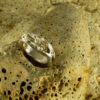 Band Ring 10153 - Image 5