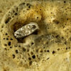 Band Ring 10153 - Image 4
