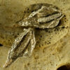 Peace Lilly Earrings 20126 - Image 4