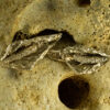 Peace Lilly Earrings 20126 - Image 3