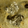 Freesia Earrings 20127 - Image 2