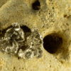 Freesia Earrings 20127 - Image 3