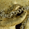 Link Rolo Chain 50135 - Image 2