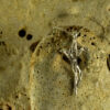 Branch Cross Pendant 30111