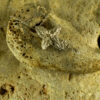 Leaf Cross Pendant 30116 - Image 3