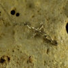 Chain Cross Pendant 30110 - Image 3