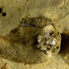Flower Bud Pendant 30117