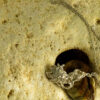Saffron Pendant 30124 - Image 3